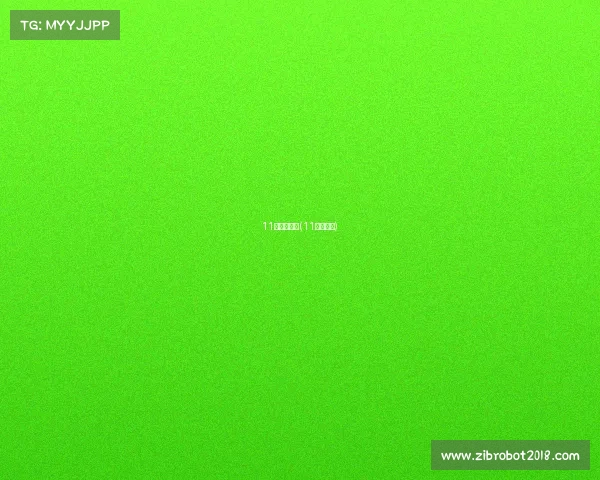 11月国际赛事(11月份赛事)