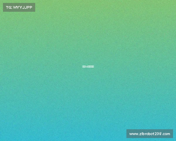 申花vs东京首发 申花vs东京首发